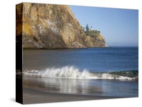 Cape Disappointment Lighthouse, Cape Disappointment State Park, Washington, USA-Jamie & Judy Wild-Stretched Canvas