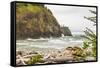 Cape Disappointment State Park, Washington. Surf crashing on the rocks at Cape Disappointment SP-Emily Wilson-Framed Stretched Canvas