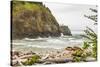 Cape Disappointment State Park, Washington. Surf crashing on the rocks at Cape Disappointment SP-Emily Wilson-Stretched Canvas