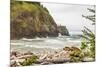 Cape Disappointment State Park, Washington. Surf crashing on the rocks at Cape Disappointment SP-Emily Wilson-Mounted Photographic Print