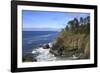 Cape Disappointment, Washington State.-Jolly Sienda-Framed Photographic Print