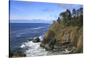 Cape Disappointment, Washington State.-Jolly Sienda-Stretched Canvas