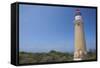 Cape du Couedic Lighthouse at Flinders Chase National Park, South Australia.-Michele Niles-Framed Stretched Canvas