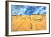 Cape Dune and Stairst-Robert Goldwitz-Framed Photographic Print