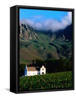 Cape Dutch Colonial Manor House and Vineyard with Mountain Backdrop, Dornier, South Africa-Ariadne Van Zandbergen-Framed Stretched Canvas