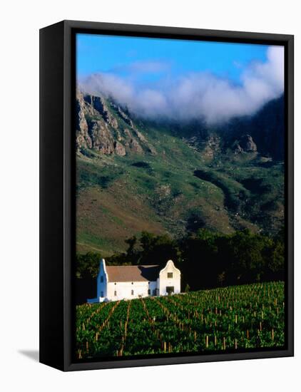 Cape Dutch Colonial Manor House and Vineyard with Mountain Backdrop, Dornier, South Africa-Ariadne Van Zandbergen-Framed Stretched Canvas