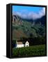 Cape Dutch Colonial Manor House and Vineyard with Mountain Backdrop, Dornier, South Africa-Ariadne Van Zandbergen-Framed Stretched Canvas