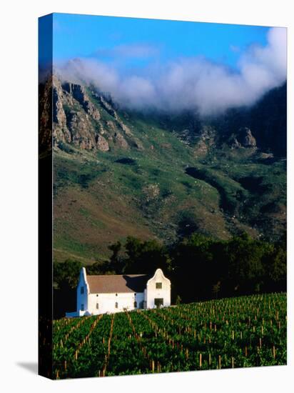 Cape Dutch Colonial Manor House and Vineyard with Mountain Backdrop, Dornier, South Africa-Ariadne Van Zandbergen-Stretched Canvas