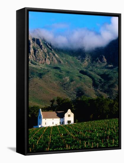 Cape Dutch Colonial Manor House and Vineyard with Mountain Backdrop, Dornier, South Africa-Ariadne Van Zandbergen-Framed Stretched Canvas