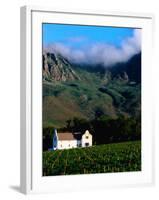 Cape Dutch Colonial Manor House and Vineyard with Mountain Backdrop, Dornier, South Africa-Ariadne Van Zandbergen-Framed Premium Photographic Print