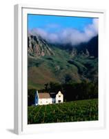 Cape Dutch Colonial Manor House and Vineyard with Mountain Backdrop, Dornier, South Africa-Ariadne Van Zandbergen-Framed Premium Photographic Print