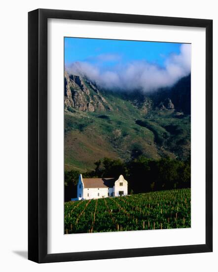 Cape Dutch Colonial Manor House and Vineyard with Mountain Backdrop, Dornier, South Africa-Ariadne Van Zandbergen-Framed Photographic Print
