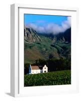 Cape Dutch Colonial Manor House and Vineyard with Mountain Backdrop, Dornier, South Africa-Ariadne Van Zandbergen-Framed Photographic Print