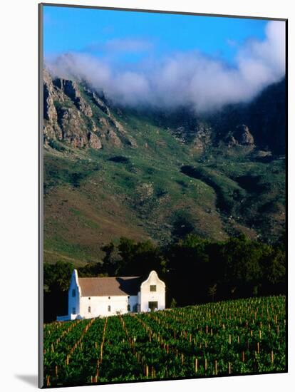 Cape Dutch Colonial Manor House and Vineyard with Mountain Backdrop, Dornier, South Africa-Ariadne Van Zandbergen-Mounted Photographic Print