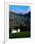 Cape Dutch Colonial Manor House and Vineyard with Mountain Backdrop, Dornier, South Africa-Ariadne Van Zandbergen-Framed Photographic Print