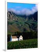 Cape Dutch Colonial Manor House and Vineyard with Mountain Backdrop, Dornier, South Africa-Ariadne Van Zandbergen-Framed Photographic Print