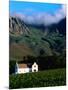 Cape Dutch Colonial Manor House and Vineyard with Mountain Backdrop, Dornier, South Africa-Ariadne Van Zandbergen-Mounted Photographic Print