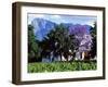 Cape Dutch Farmstead Vineyard Near Franschoek, Western Cape, South Africa-John Warburton-lee-Framed Photographic Print