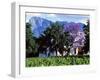 Cape Dutch Farmstead Vineyard Near Franschoek, Western Cape, South Africa-John Warburton-lee-Framed Photographic Print