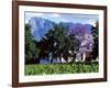 Cape Dutch Farmstead Vineyard Near Franschoek, Western Cape, South Africa-John Warburton-lee-Framed Photographic Print