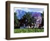 Cape Dutch Farmstead Vineyard Near Franschoek, Western Cape, South Africa-John Warburton-lee-Framed Photographic Print