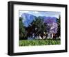 Cape Dutch Farmstead Vineyard Near Franschoek, Western Cape, South Africa-John Warburton-lee-Framed Photographic Print