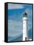 Cape Egmont Lighthouse and Mt Taranaki, Mt Egmont, Taranaki, North Island, New Zealand-David Wall-Framed Stretched Canvas