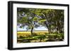 Cape Fear Overlook-Alan Hausenflock-Framed Photographic Print