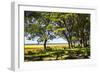 Cape Fear Overlook-Alan Hausenflock-Framed Photographic Print