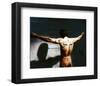 Cape Fear-null-Framed Photo