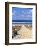 Cape Ferret, Basin d'Arcachon, Gironde, Aquitaine, France-Doug Pearson-Framed Photographic Print