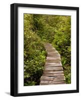 Cape Flattery Boardwalk, Neah Bay, Washington, USA-Peter Hawkins-Framed Photographic Print