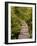 Cape Flattery Boardwalk, Neah Bay, Washington, USA-Peter Hawkins-Framed Photographic Print