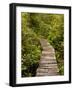 Cape Flattery Boardwalk, Neah Bay, Washington, USA-Peter Hawkins-Framed Photographic Print