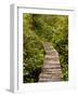 Cape Flattery Boardwalk, Neah Bay, Washington, USA-Peter Hawkins-Framed Photographic Print