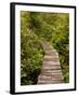 Cape Flattery Boardwalk, Neah Bay, Washington, USA-Peter Hawkins-Framed Photographic Print