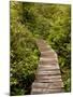Cape Flattery Boardwalk, Neah Bay, Washington, USA-Peter Hawkins-Mounted Photographic Print