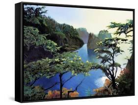 Cape Flattery-Max Hayslette-Framed Stretched Canvas