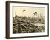 Cape Florida-null-Framed Premium Photographic Print