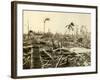 Cape Florida-null-Framed Photographic Print