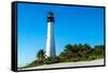 Cape Florida-vent du sud-Framed Stretched Canvas