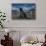 Cape Fur Seal, Hout Bay Harbor, Western Cape, South Africa-Pete Oxford-Photographic Print displayed on a wall