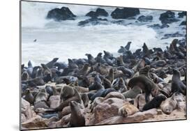 Cape Fur seals, Cape Cross, Skeleton Coast, Kaokoland, Namibia.-Nico Tondini-Mounted Photographic Print