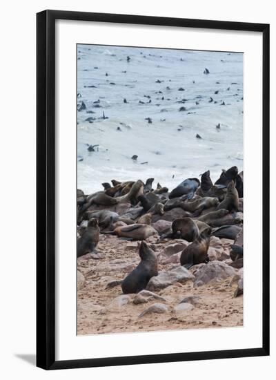 Cape Fur seals, Cape Cross, Skeleton Coast, Kaokoland, Namibia.-Nico Tondini-Framed Photographic Print