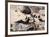 Cape Fur Seals, Cape Town, South Africa, Africa-Lisa Collins-Framed Photographic Print