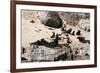 Cape Fur Seals, Cape Town, South Africa, Africa-Lisa Collins-Framed Photographic Print