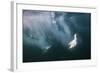 Cape Gannets (Morus Capensis) Diving for Fish-Reinhard Dirscherl-Framed Photographic Print