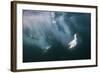 Cape Gannets (Morus Capensis) Diving for Fish-Reinhard Dirscherl-Framed Photographic Print