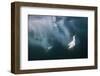 Cape Gannets (Morus Capensis) Diving for Fish-Reinhard Dirscherl-Framed Photographic Print