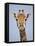 Cape Giraffe (Giraffa Camelopardalis Giraffa), Kruger National Park, South Africa, Africa-James Hager-Framed Stretched Canvas